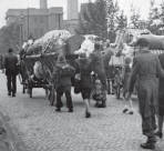 Foto: Ungesühntes Verbrechen: Vertreibung von Sudetendeutschen aus Falkenau, Herbst 1945