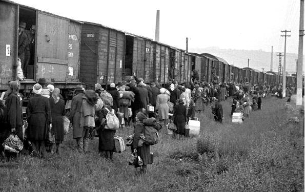 Eines der eher seltenen Bilddokumente der Vertreibung im Jahre 1946: Noch schlimmer traf des diejenigen, die nach Osten, in polnische oder sowjetische Lager verschleppt wurden. (Foto: PAZ 40/2008)